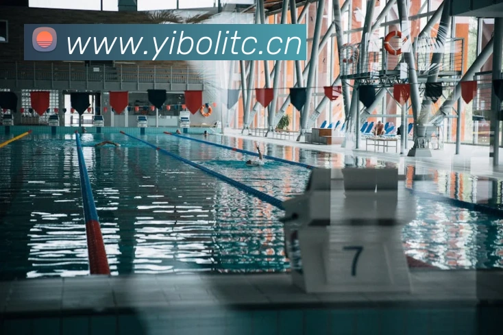 App Interface Preview