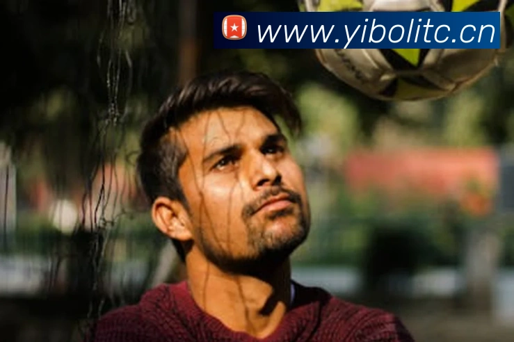 mk中国官网入口APP 封面图